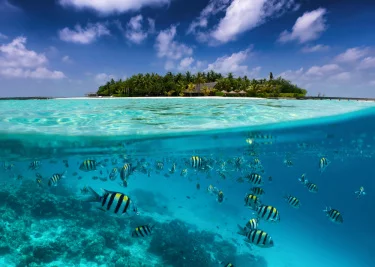 Rasdhoo