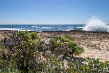 Puerto Pequeño