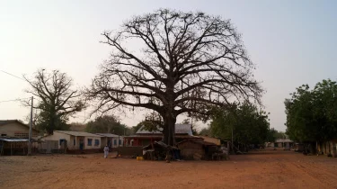 Banjul