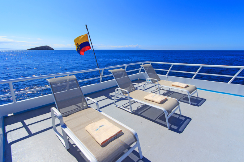 Motor Yatch