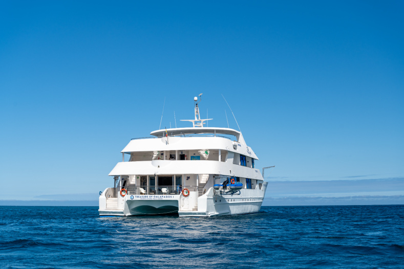Motor Catamaran