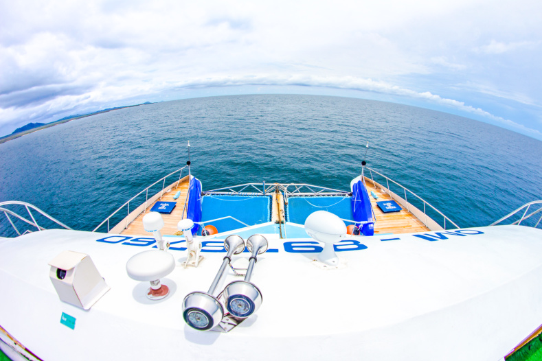 Motor Catamaran