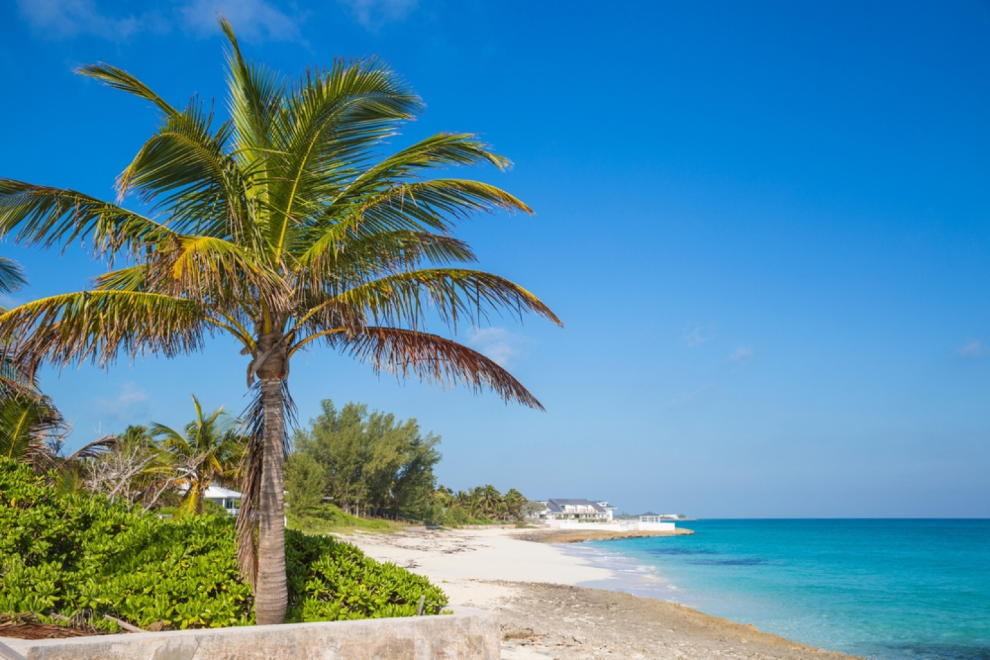Bahamas