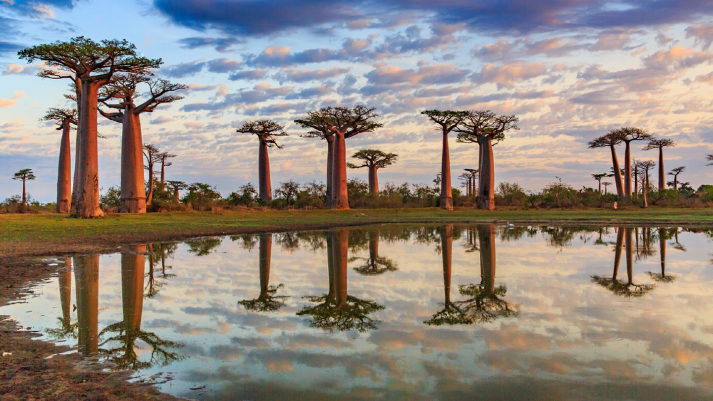 Madagascar