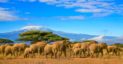 Tanzania