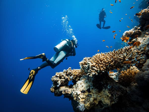 Safari de buceo
